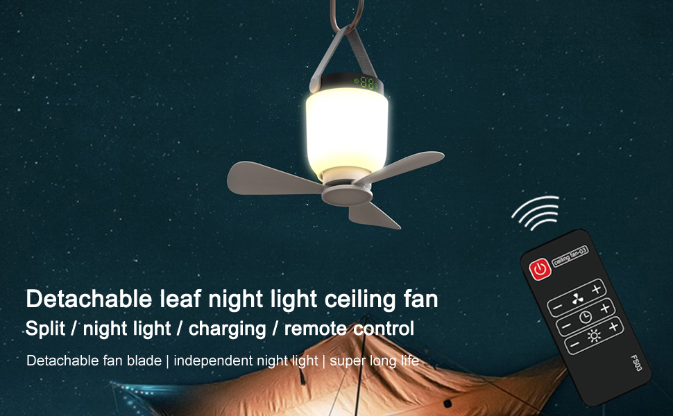 night light ceiling fan