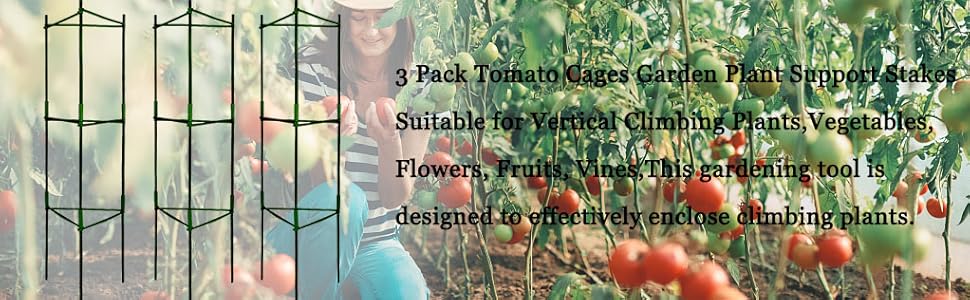 tomato cage,garden trellis