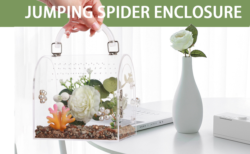 jumping spider enclosure tarantula enclosure jumping spider accessories spider enclosure