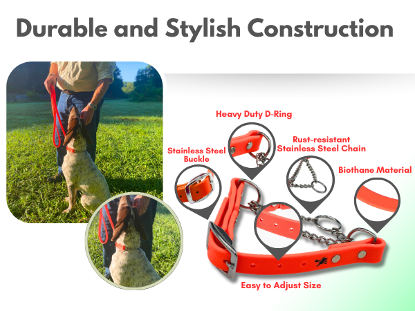 【Shiho】Ameri　RETURN COLLAR ALL IN ONE Amazon.com : JIM HODGES DOG TRAINING Martingale Collar for