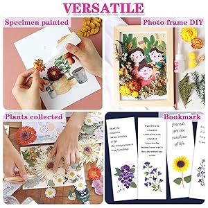 Small manufacture image 4