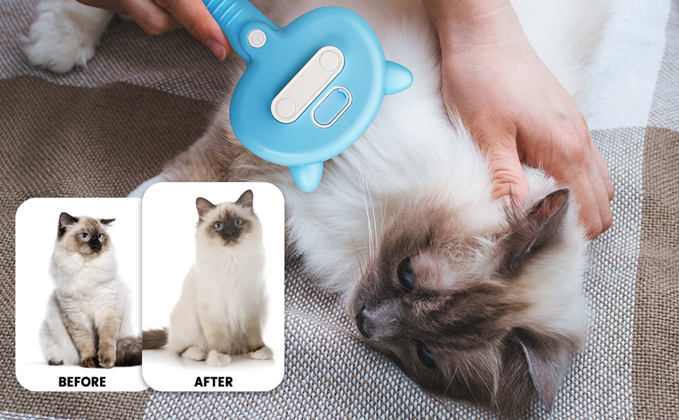 cat grooming brush for indoor cats shedding