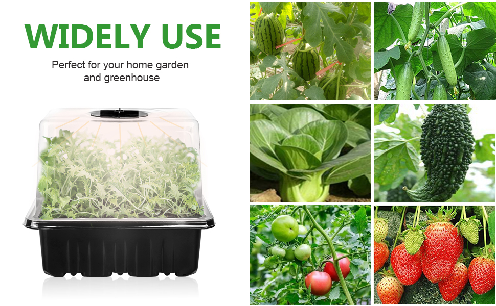 5 Sets Seedling Starter Trays with LED Grow Light, Seed Planting