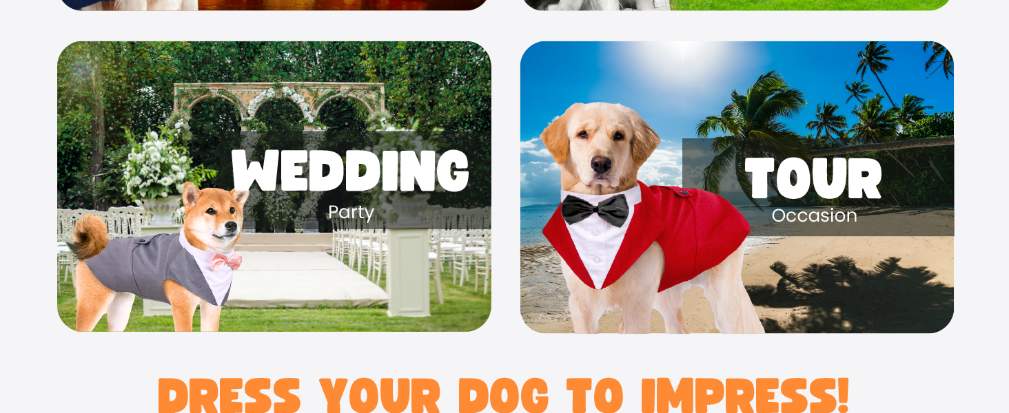 ful dog suit dress set