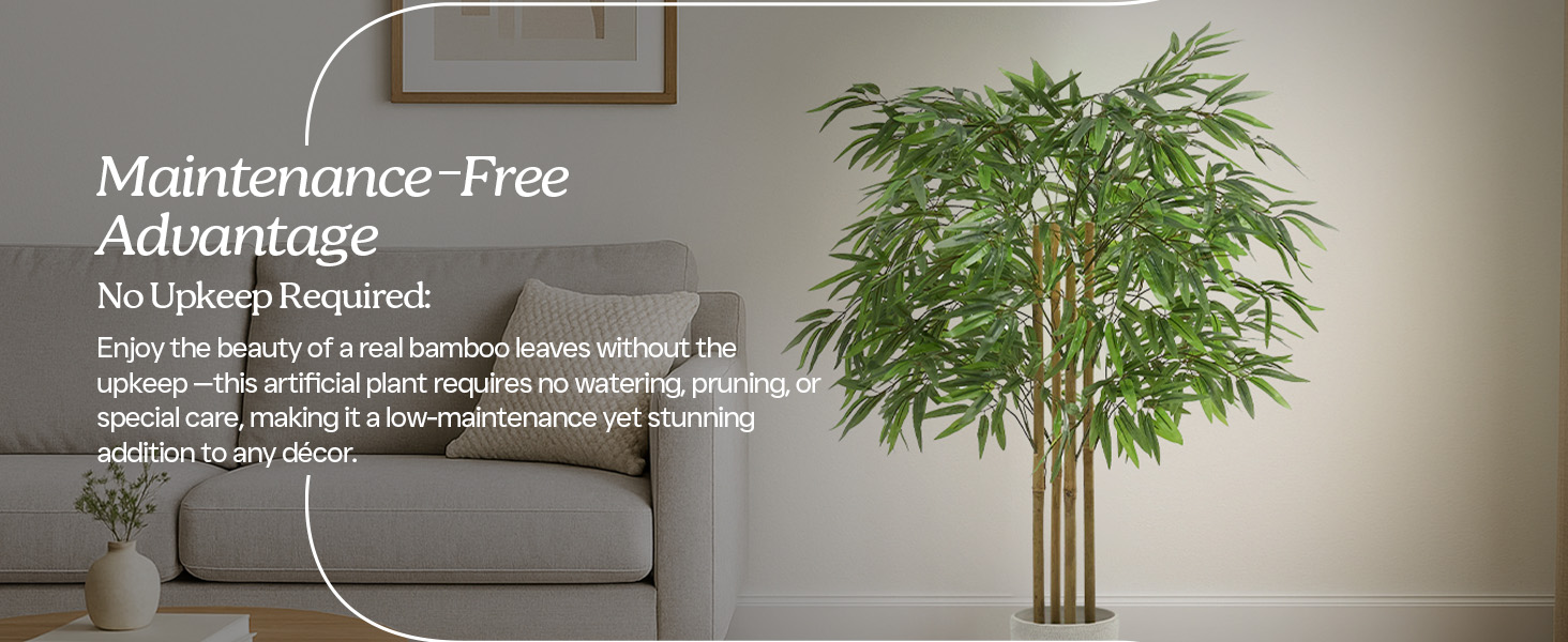 A plant with the benefits of maintenance-free, highlighting convenience and cost-effectiveness.