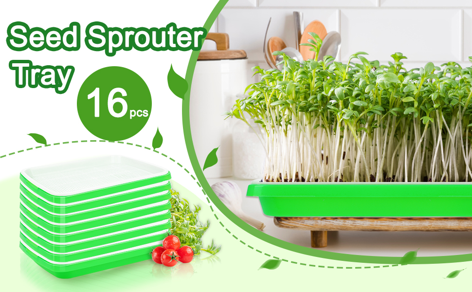 microgreens growing kit