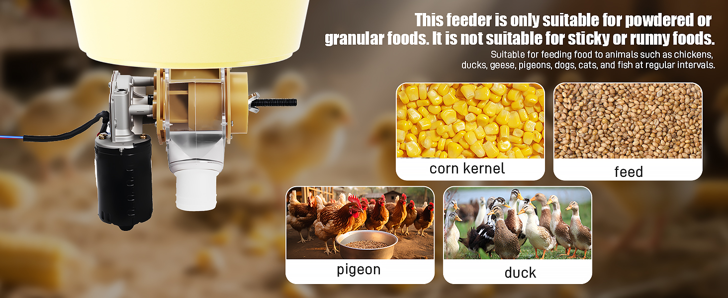 chicken automatic feeder