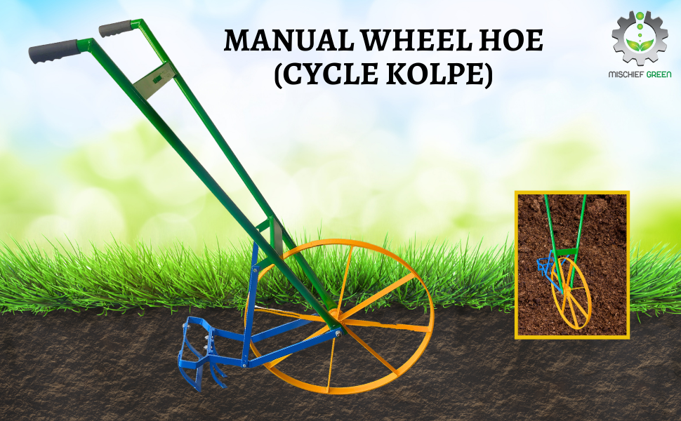 Cycle Kolpe