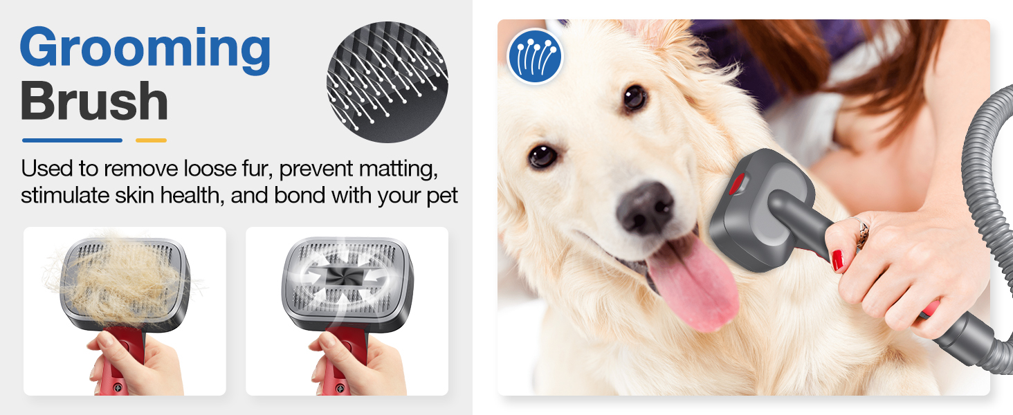 dyson attachment for dog grooming