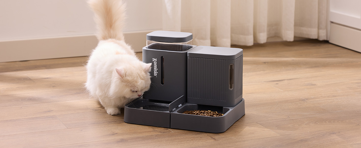 cat feeder and water dispenser