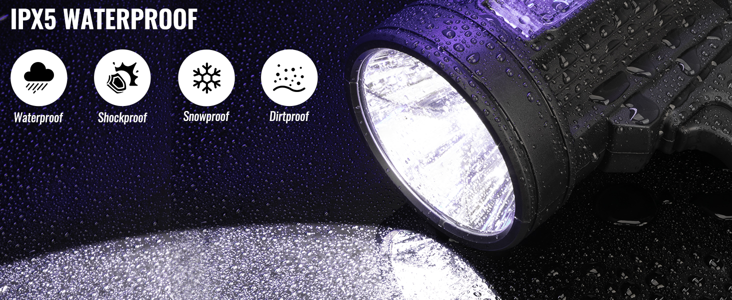 spotlight5