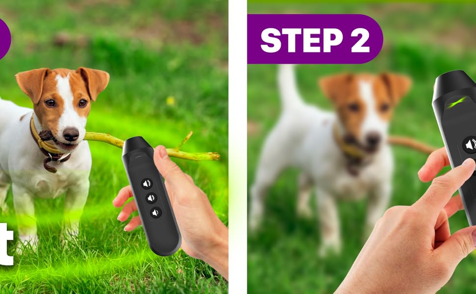 WHATEVER WORKS Professional Rechargeable 3in1 Dog Bark