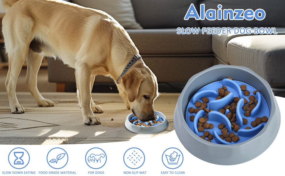 2-In-1Plastic Dog Bowl with Silicone Slow Feeder Insert