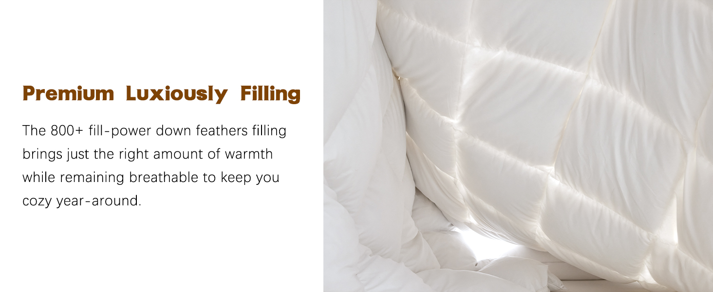 L LOVSOUL 75% Goose Down Fiber King Size Comforter, Fluffy Ultra Soft & All Season White Duvet Insert for Ultimate Co Cb87abf9 10b5 4e03 857b 8883848dd450. CR0,0,1464,600 PT0 SX1464 V1