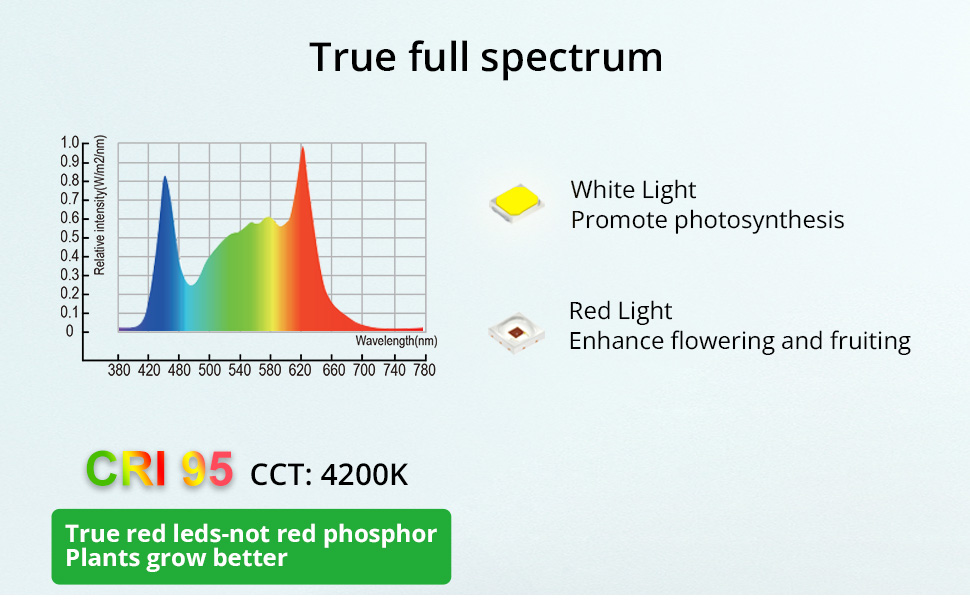 grow light