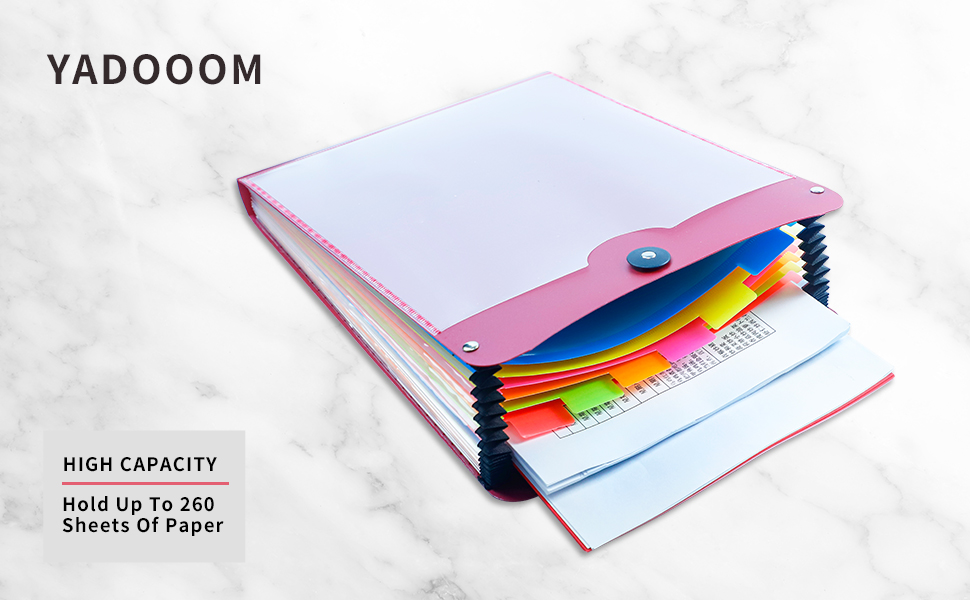 Vertical File Folder Expanding Accordion Folder with 13