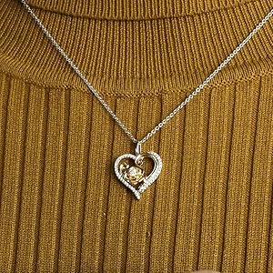 Belle Enchanted rose