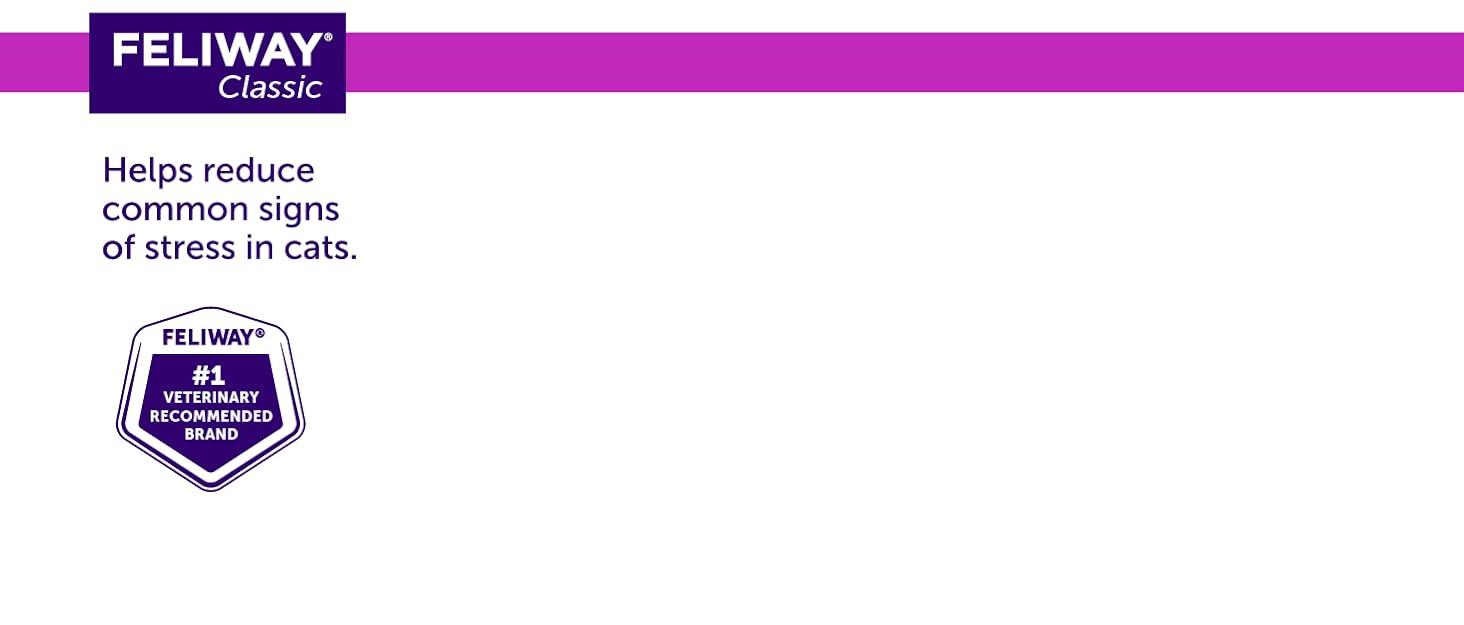 Feliway Classic helps reduce common signs of stress in cats