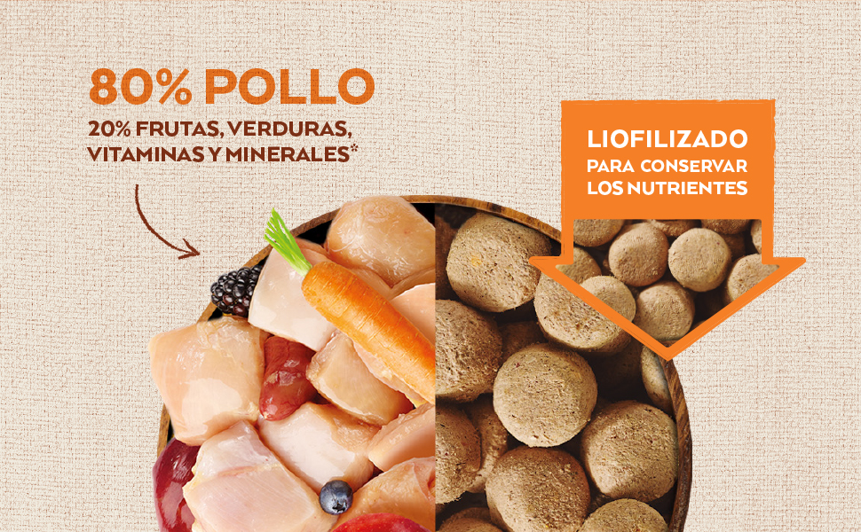 Complet food poulet 2