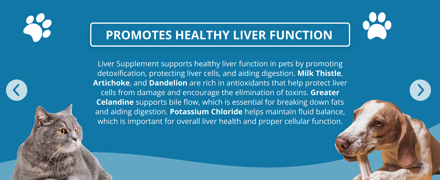 liver supplement promotes healthy liver function in dogs and cats natural liver support