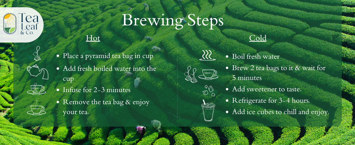 Brewing steps of green tea bags