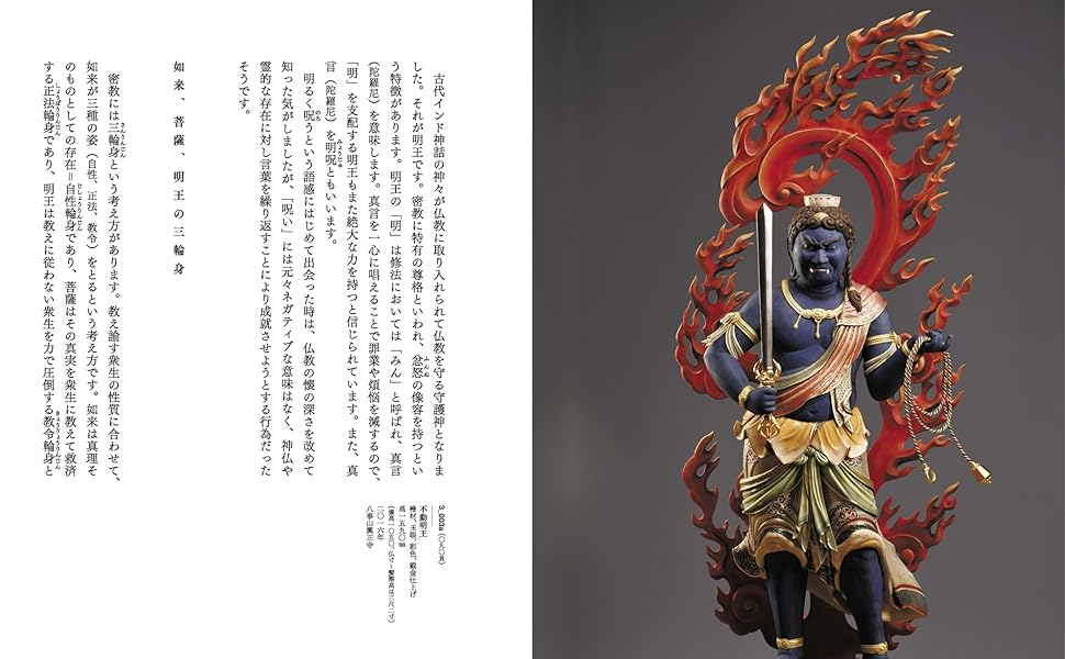 Amazon.co.jp: 大仏師が教える仏像彫刻の深すぎる世界 : 江場 琳觀: 本