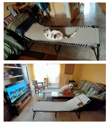 lounge chair