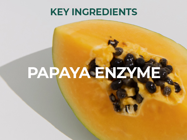 Papaya Fruit Extract containing Enzyme from MOTHER MADE exfoliating peel gel exfoliator scrub wash