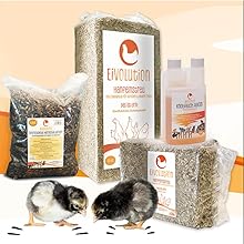 Geflügelfutterprodukte einschließlich Beutel und Behälter. Zwei Küken sichtbar. Produkte mit der Aufschrift „Evolucion“ mit Verpackungen in verschiedenen Größen