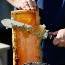 beekeeping book,bee keeping books
