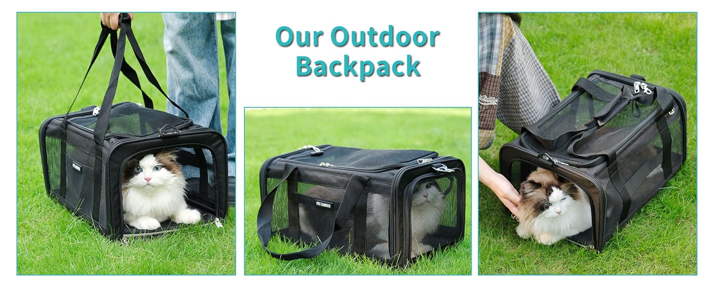 pet backpack carrier