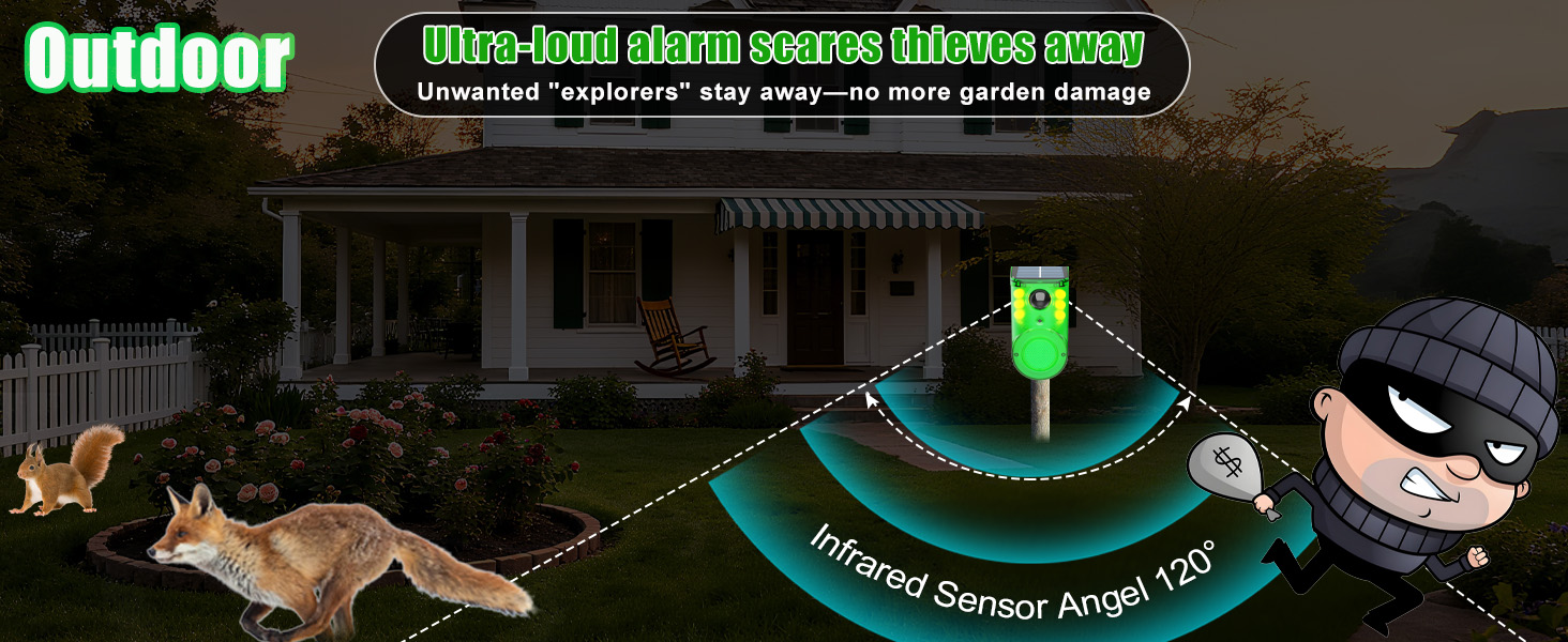 solar outdoor motion sensor alarm