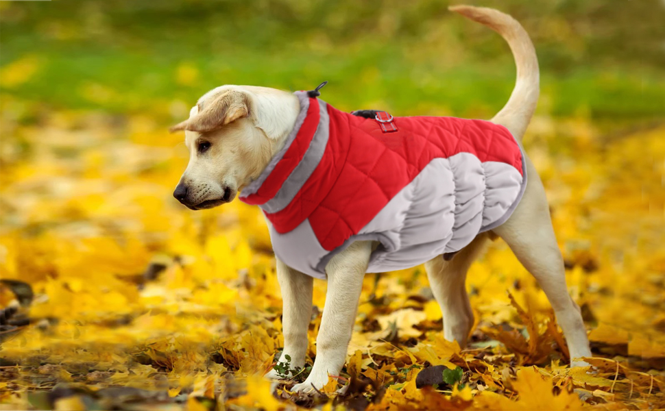 Lelepet Dog Winter Coat, Waterproof Dog Warm Jacket for Small Medium