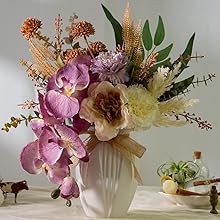orchid with vase