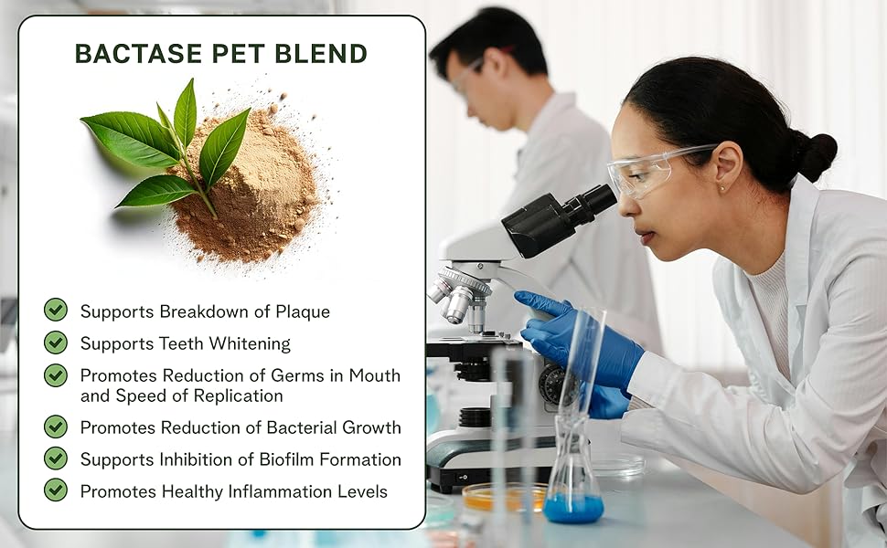 Bactase Pet Blend is a powerful ingredient to break down plaque and promote teeth whitening.