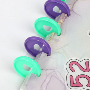 money saving challenge binder