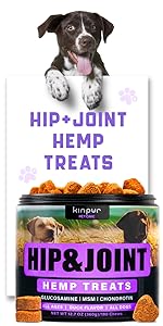 Hip&amp;amp;amp;Joint