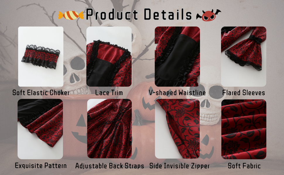 Victorian Dress for Women 18th Century Gothic Rococo Dress