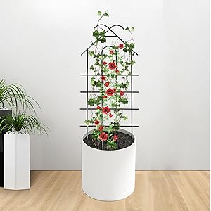 Garden Trellis