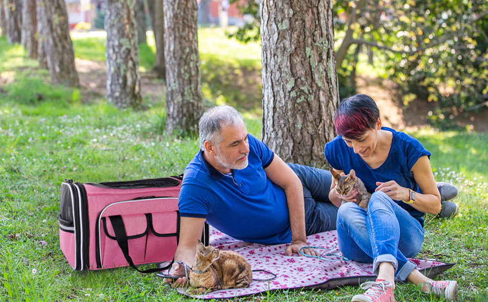pink pet carrier