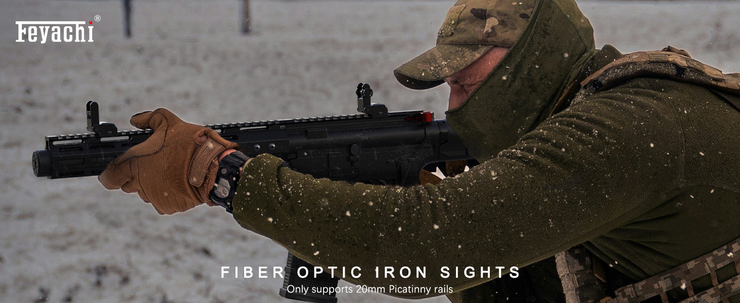iron sight