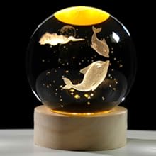 3D Fish with Moon Crystal Ball