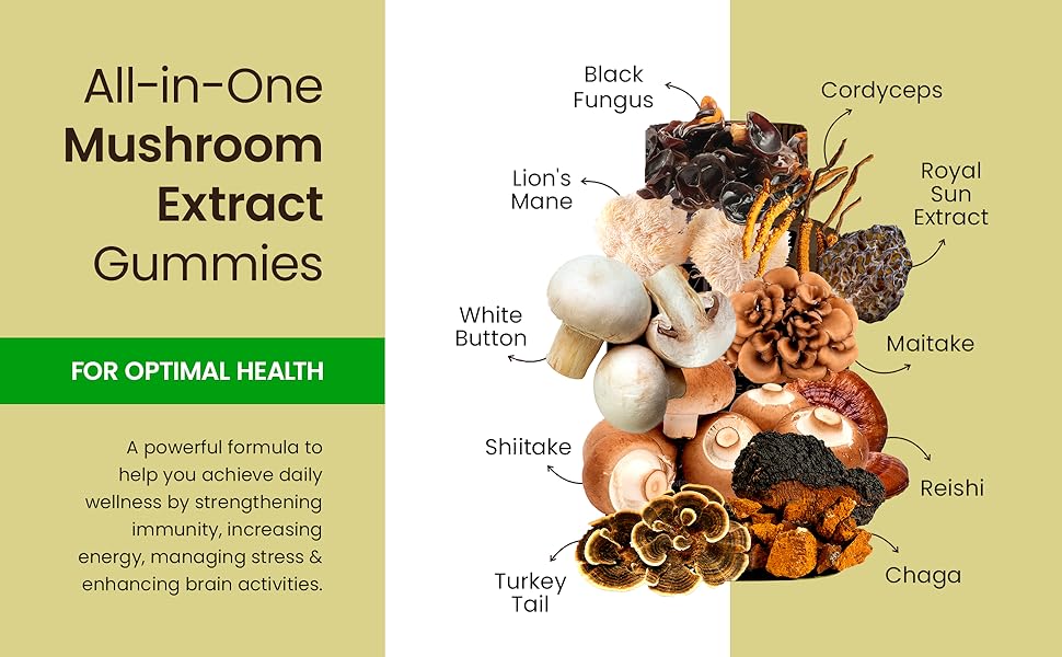 Mushroom Supplement