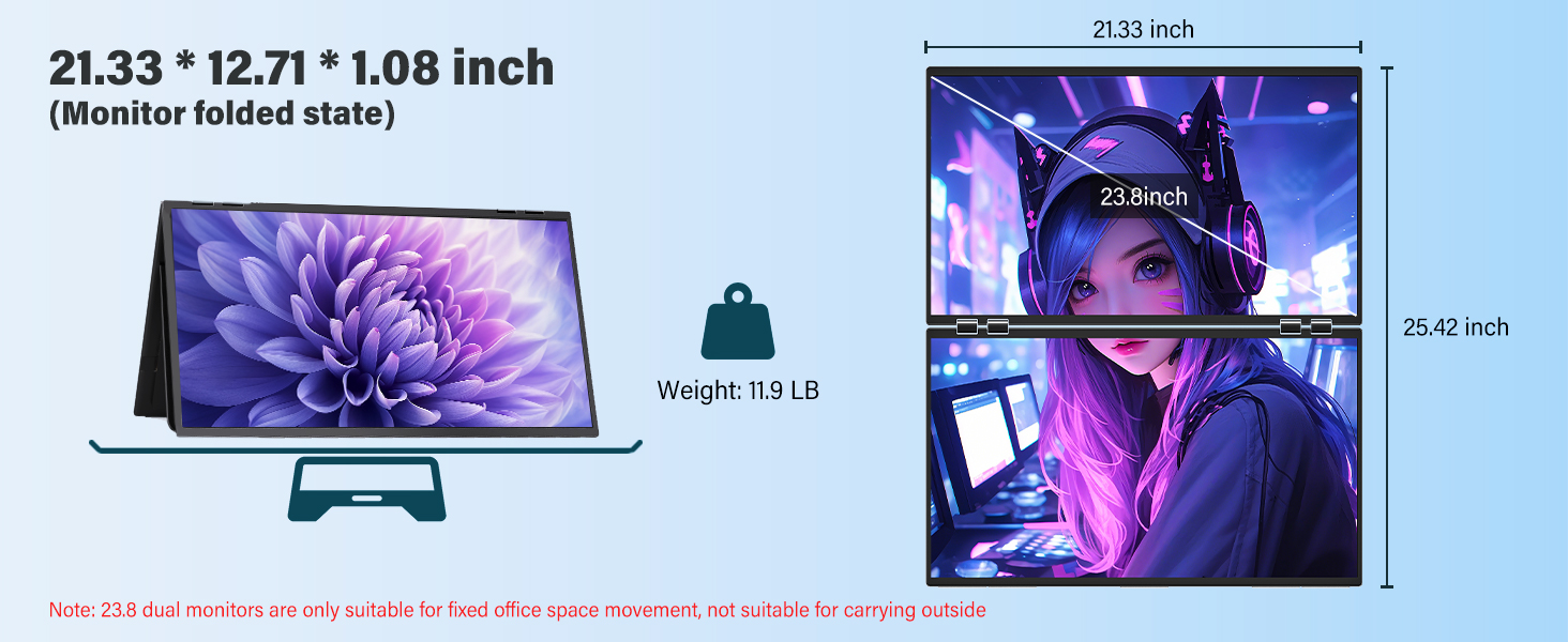 dual Monitor 23.8