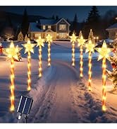 Fohil Christmas Garden Lights