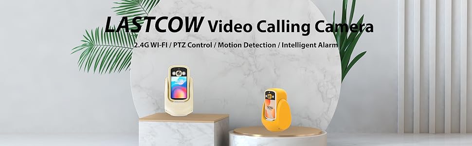 Video Call camera with PTZ