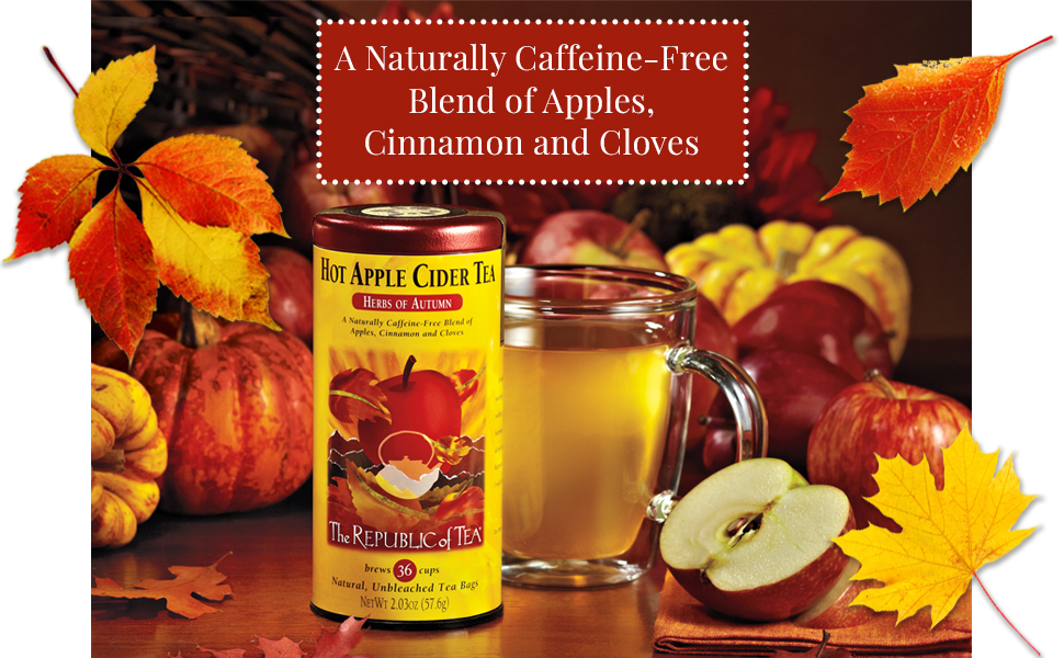 The Republic of Tea Hot Apple Cider