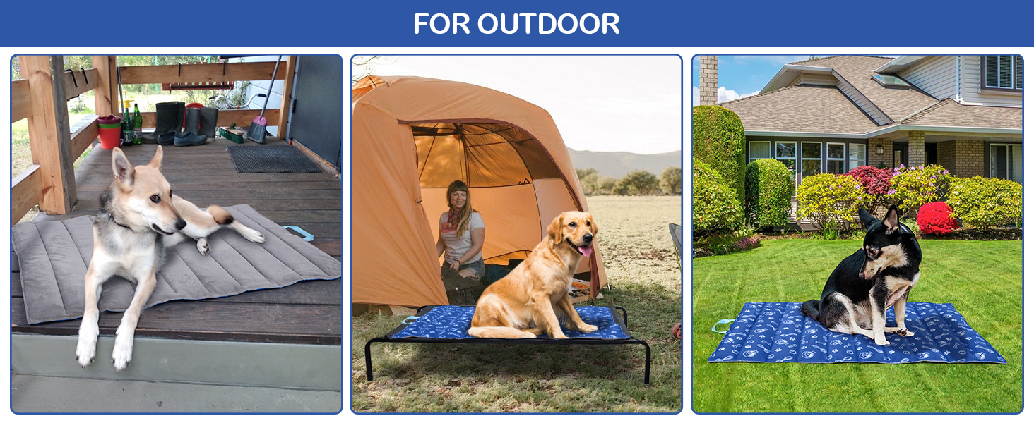 outdoor dog bed
