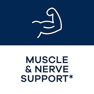 Muscle& nerve support*