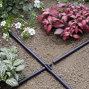 Tubo Capillare Flessibile PE Nero Claber 20m 1/4" (4-6mm) 22 Richiede una preparazione speciale nel Giardino. Dipinto colorato piante tora cuy fiori bianchi e follie rose